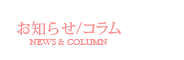 お知らせ/コラム